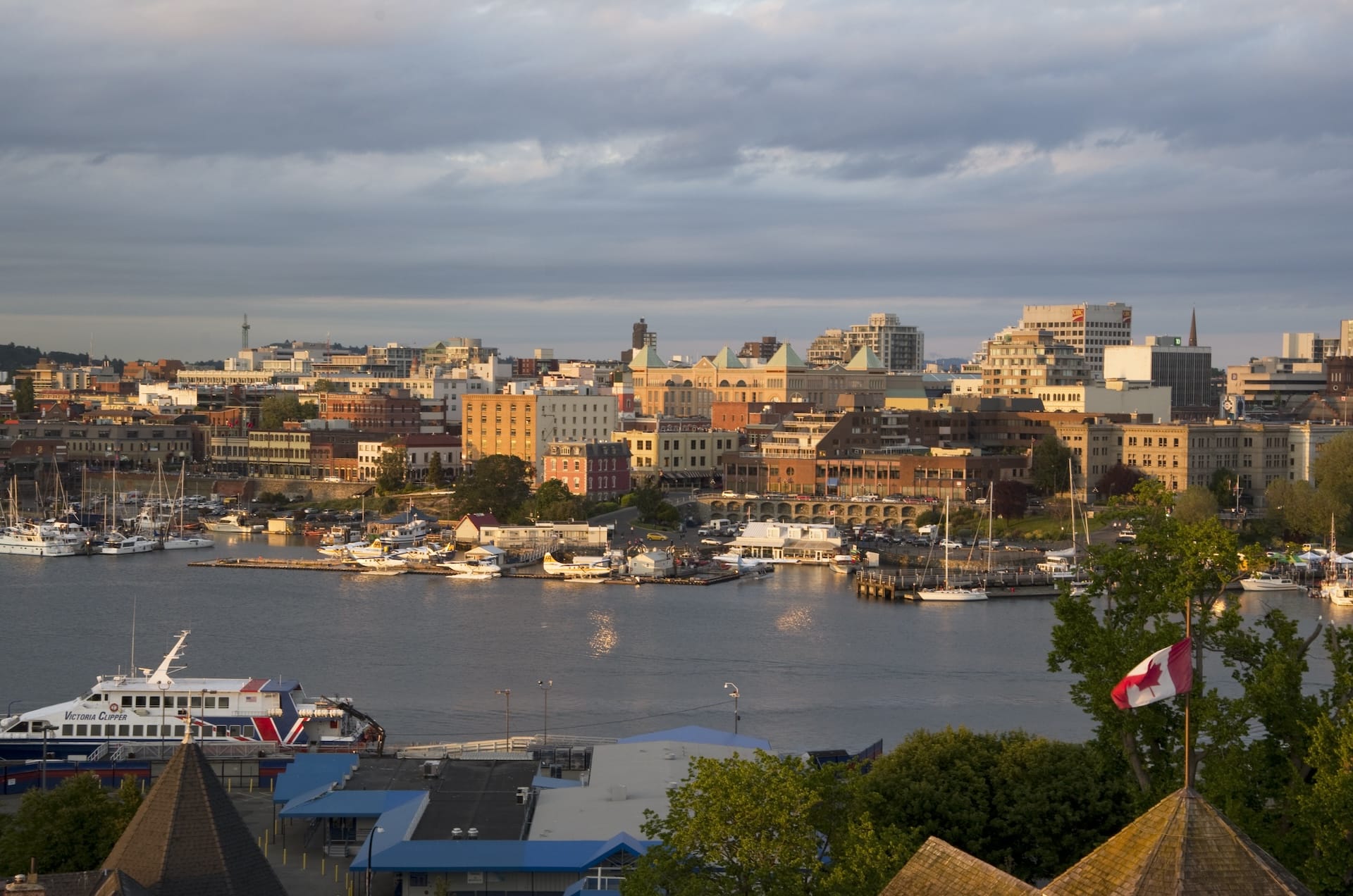 dreamstimemaximum_55494772